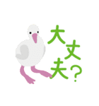 鳥のヒナたち（個別スタンプ：20）