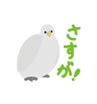 鳥のヒナたち（個別スタンプ：24）