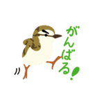 鳥のヒナたち（個別スタンプ：26）