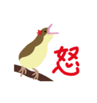 鳥のヒナたち（個別スタンプ：38）