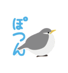 鳥のヒナたち（個別スタンプ：39）