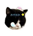 白黒 ^._.^ はちわれ猫（個別スタンプ：2）