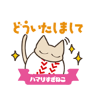 野球にハマりすぎねこ（個別スタンプ：5）