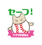 野球にハマりすぎねこ（個別スタンプ：40）