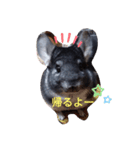 おりぶさん（個別スタンプ：5）