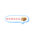 mofumofudogs5（個別スタンプ：10）