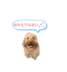 mofumofudogs5（個別スタンプ：14）