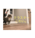てりすたんぷ（個別スタンプ：4）