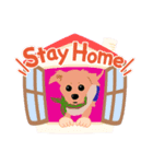 愛犬スタンプ(パスカル編)（個別スタンプ：1）