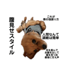 愛犬スタンプ(パスカル編)（個別スタンプ：4）