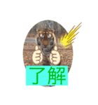 トトラトラトラスタンプ（個別スタンプ：8）