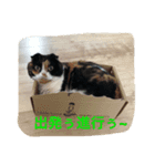yujirotochar（個別スタンプ：1）