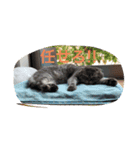 yujirotochar（個別スタンプ：8）