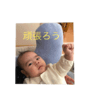 歩君スタンプ（個別スタンプ：1）