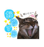 まきこお嬢様（個別スタンプ：5）