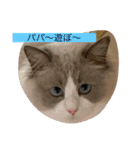 ラウル＆メイリーの日常（個別スタンプ：1）