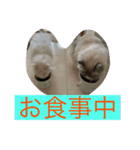 ラウル＆メイリーの日常（個別スタンプ：3）