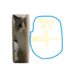 ラウル＆メイリーの日常（個別スタンプ：4）