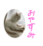 ラウル＆メイリーの日常（個別スタンプ：12）