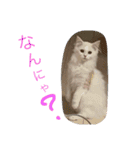ラウル＆メイリーの日常（個別スタンプ：15）