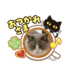 ラウル＆メイリーの日常（個別スタンプ：21）