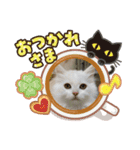 ラウル＆メイリーの日常（個別スタンプ：22）