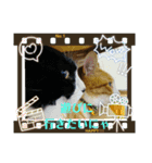taanyan（個別スタンプ：13）