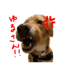 いやしのいさお（個別スタンプ：9）