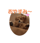 マルプーのロン（個別スタンプ：1）