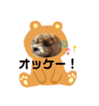 マルプーのロン（個別スタンプ：3）