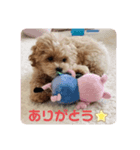 マルプーのロン（個別スタンプ：4）