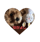 マルプーのロン（個別スタンプ：7）