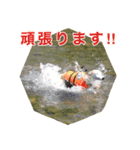 ベスの毎日 デカ文字 大人言葉バージョン（個別スタンプ：6）