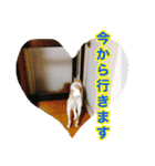 ベスの毎日 デカ文字 大人言葉バージョン（個別スタンプ：12）