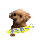 トイプードルなっちゃん②（個別スタンプ：32）