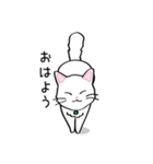 白猫“姫”ちゃん（個別スタンプ：1）