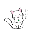 白猫“姫”ちゃん（個別スタンプ：3）