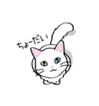 白猫“姫”ちゃん（個別スタンプ：5）