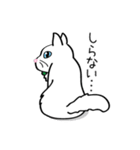 白猫“姫”ちゃん（個別スタンプ：7）