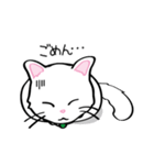 白猫“姫”ちゃん（個別スタンプ：8）