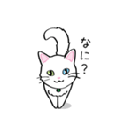 白猫“姫”ちゃん（個別スタンプ：9）
