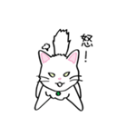 白猫“姫”ちゃん（個別スタンプ：10）