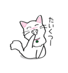 白猫“姫”ちゃん（個別スタンプ：11）