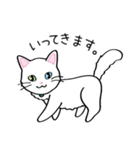 白猫“姫”ちゃん（個別スタンプ：13）
