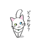 白猫“姫”ちゃん（個別スタンプ：16）