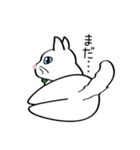 白猫“姫”ちゃん（個別スタンプ：19）