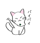 白猫“姫”ちゃん（個別スタンプ：20）