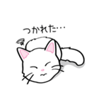 白猫“姫”ちゃん（個別スタンプ：21）