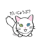 白猫“姫”ちゃん（個別スタンプ：22）