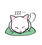 白猫“姫”ちゃん（個別スタンプ：23）